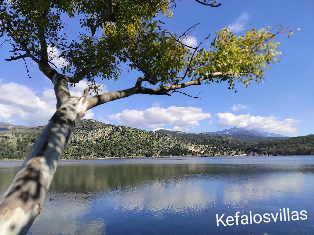 Kefalos Studios Argostoli 아파트 아르고스톨리온
